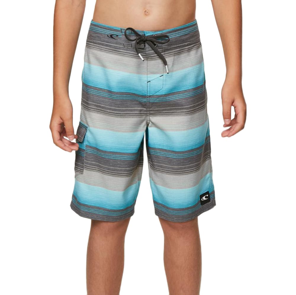 O'neill Big Boys' Santa Cruz Stripe Boardshorts - Blue, 25