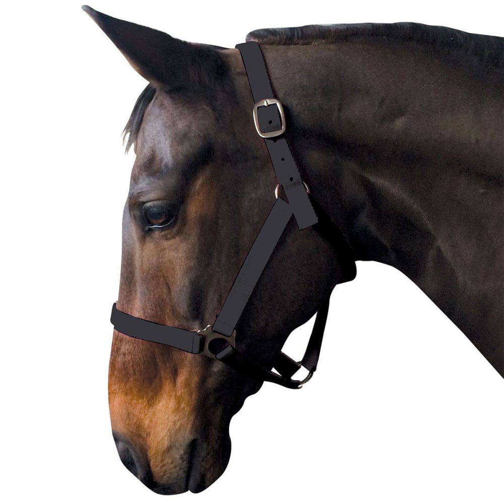 Requisite Economy Horse Head Collar - Black, Cob